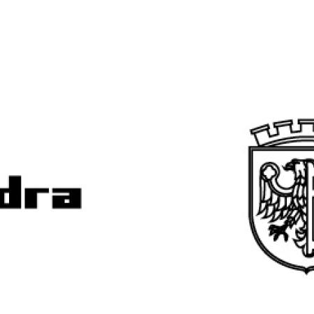 logosy-aneks