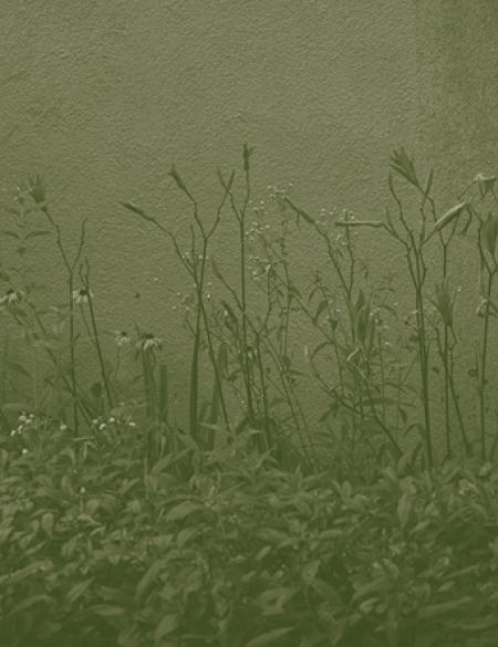 baner informacyjny 
