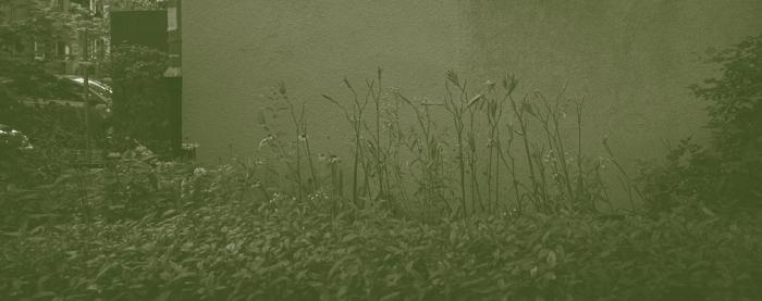 baner informacyjny 